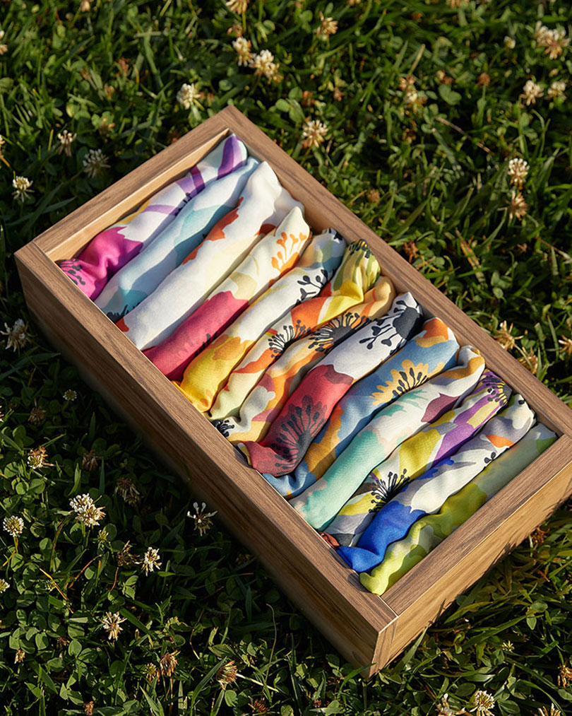 Colora Desen Piknik Konsept
